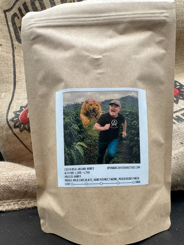Costa Rica - Jaguar Honey